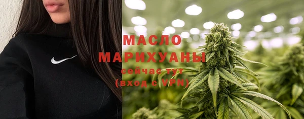 PSILOCYBIN Бородино