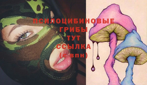 дмт Бронницы