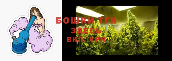 PSILOCYBIN Бородино