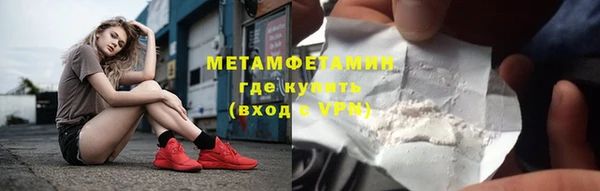 PSILOCYBIN Бородино