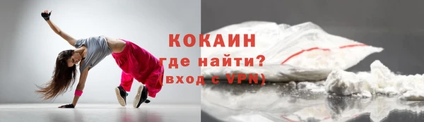PSILOCYBIN Бородино