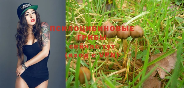 дмт Бронницы