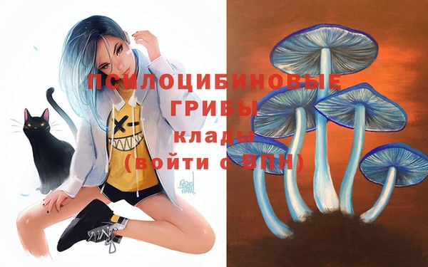 PSILOCYBIN Бородино