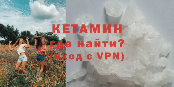 PSILOCYBIN Бородино