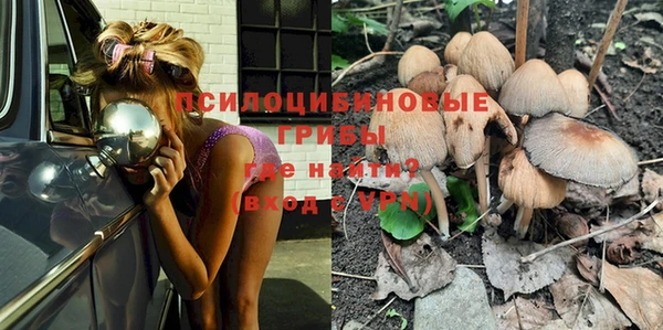 дмт Бронницы