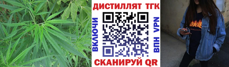 Дистиллят ТГК гашишное масло  Купить где  Бологое 