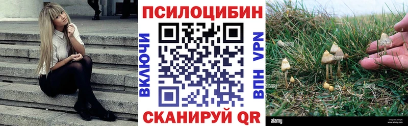Галлюциногенные грибы Magic Shrooms Бологое