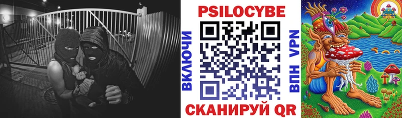 Купить закладки  Бологое  Галлюциногенные грибы Magic Shrooms 